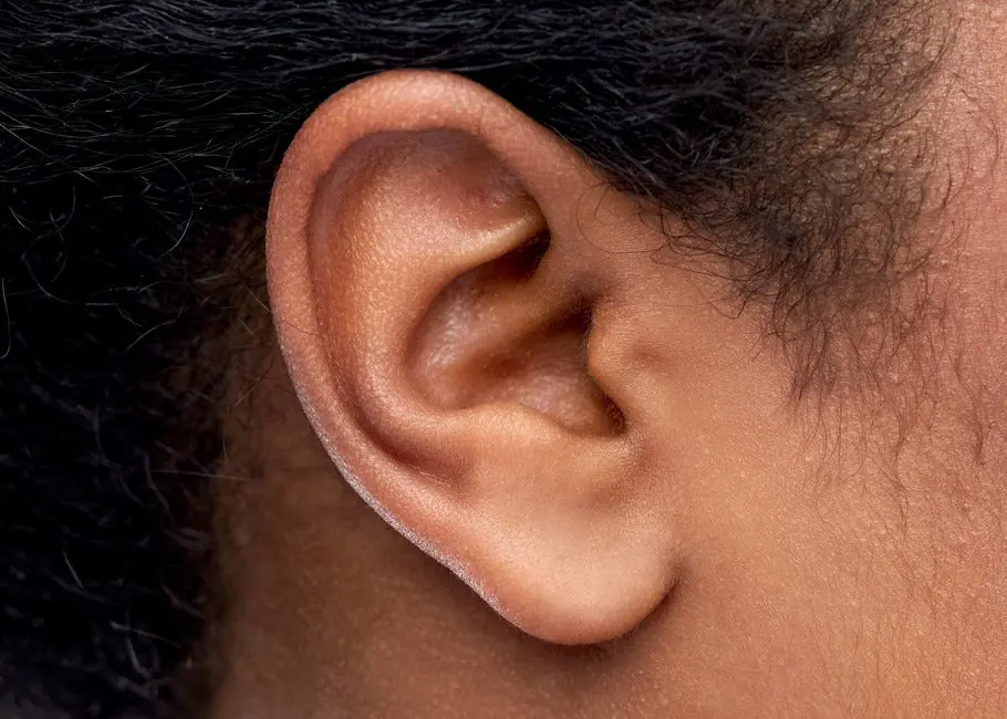 Ear Lobule Repair